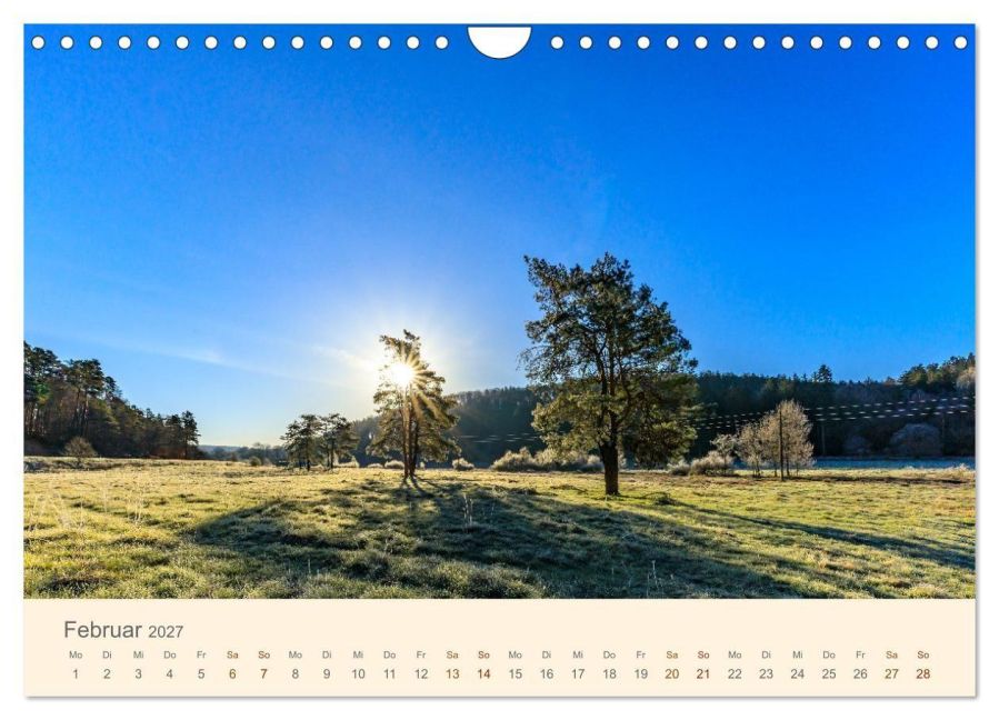 InsideView 7