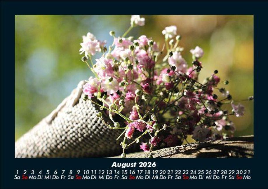InsideView 12