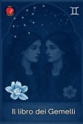 Cover-Bild zum Titel 'Il libro dei Gemelli' von 'Alina Rubi'