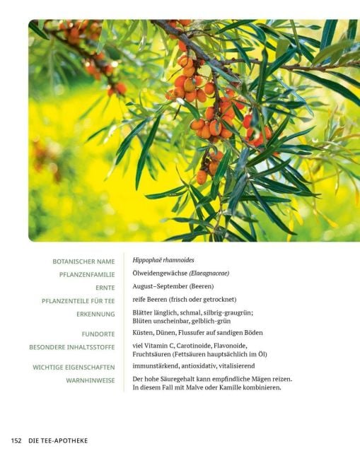 InsideView 16