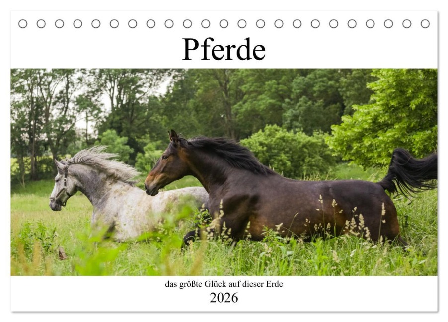 Pferde, das größte Glück auf dieser Erde (Tischkalender 2026 DIN A5 quer), CALVENDO Monatskalender - Elke Laage