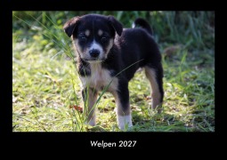 Cover-Bild zum Titel 'Welpen 2027 Fotokalender DIN A3' von 'Tobias Becker'