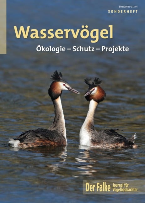 Wasservögel - 