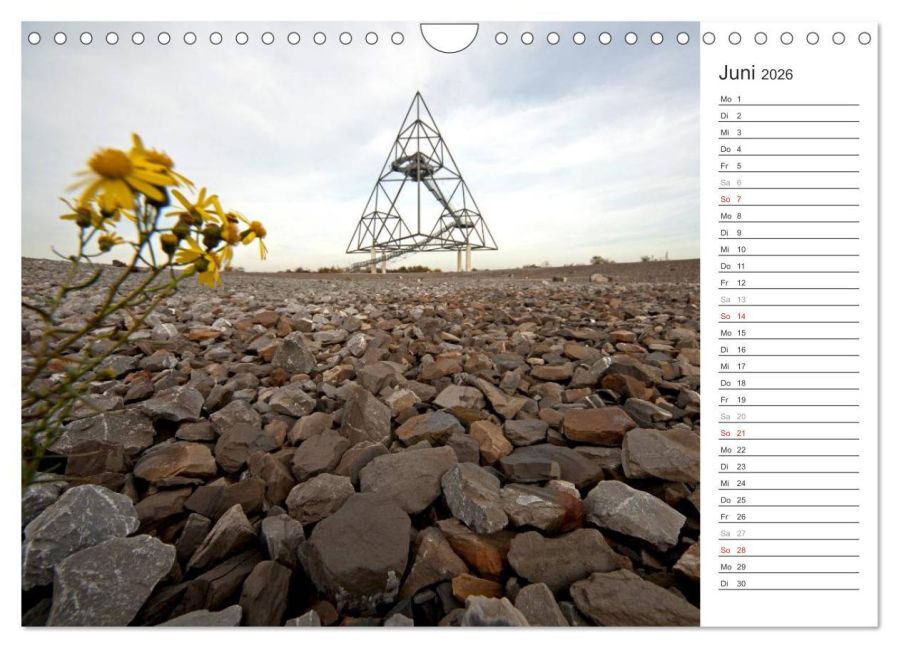 InsideView 11