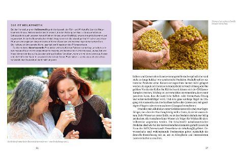 InsideView 6