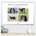 Berner Sennenhunde machen glücklich (hochwertiger Premium Wandkalender 2025 DIN A2 quer), Kunstdruck in Hochglanz - SchnelleWelten SchnelleWelten