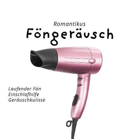 Föngeräusch - Roland Pink, Roland Pink
