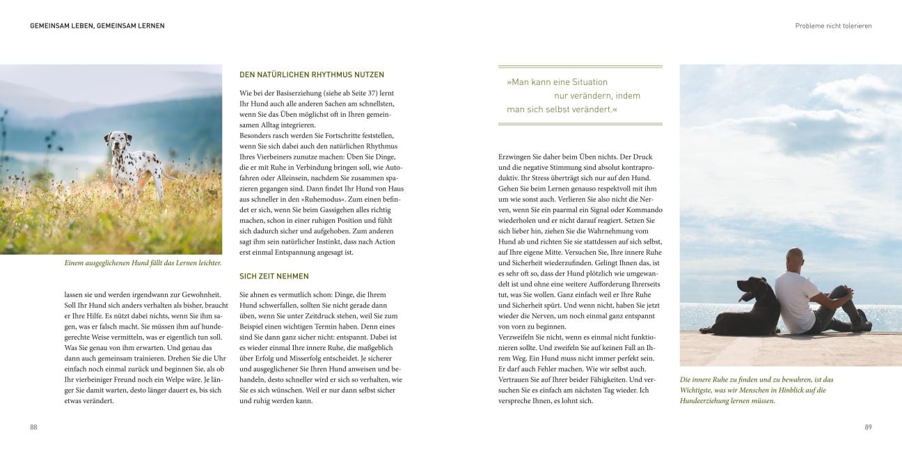 InsideView 3
