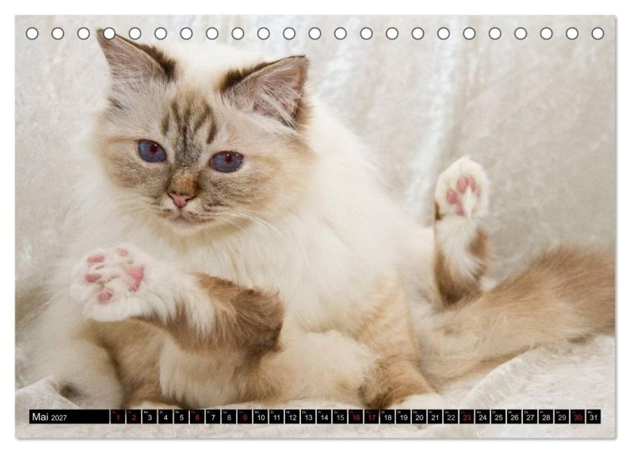 InsideView 10