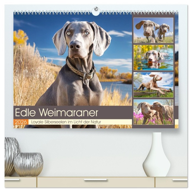 Edle Weimaraner. Loyale Silberseelen im Licht der Natur (hochwertiger Premium Wandkalender 2026 DIN A2 quer), Kunstdruck in Hochglanz - Rose Hurley