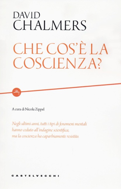Che cos'è la coscienza? - David Chalmers