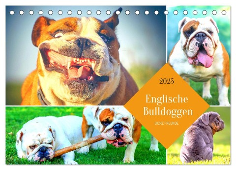 Dicke Freunde. Englische Bulldoggen (Tischkalender 2025 DIN A5 quer), CALVENDO Monatskalender - Rose Hurley