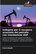 Cover-Bild zum Titel 'Indagine per il recupero avanzato del petrolio con inondazione ASP' von 'Farid Abadli'