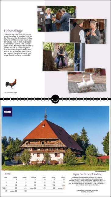 InsideView 6