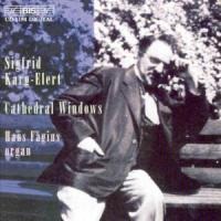 Cathedral Windows/+Symphonie Fis-moll - Hans Fagius