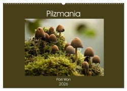 Cover-Bild zum Titel 'Pilzmania (Wandkalender 2026 DIN A2 quer), CALVENDO Monatskalender' von 'Pörli Won'