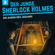 Cover-Bild zum Titel 'Das Feuer des Jaguars' von 'David Bredel, Florian Fickel'
