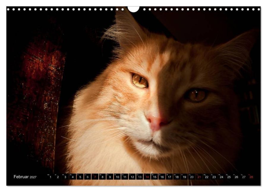 InsideView 7