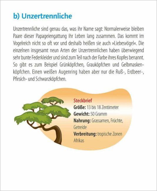 InsideView 5