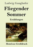 Cover-Bild zum Titel 'Fliegender Sommer (Großdruck)' von 'Ludwig Ganghofer'