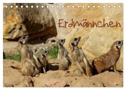 Cover-Bild zum Titel 'Erdmännchen (Tischkalender 2026 DIN A5 quer), CALVENDO Monatskalender' von 'Heike Hultsch'