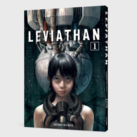 InsideView 2