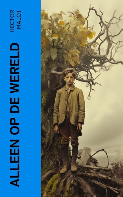 Alleen op de Wereld - Hector Malot