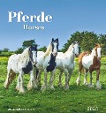 Pferde 2025 - Postkartenkalender 16x17 cm - Horses - zum Aufstellen oder Aufhängen - Monatskalendarium - Gadget - Mitbringsel - Alpha Edition - 