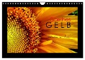 Goethes Gelb Gedanken zur Farbe (Wandkalender 2024 DIN A4 quer), CALVENDO Monatskalender - Lucy M. Laube