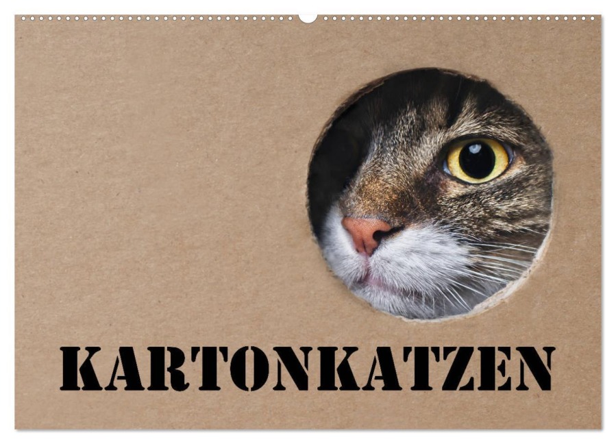 Karton Katzen (Wandkalender 2026 DIN A2 quer), CALVENDO Monatskalender - Thorsten Nilson