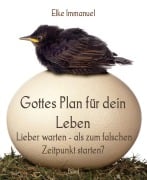 Gottes Plan für dein Leben - Elke Immanuel