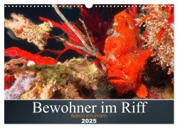 Bewohner im Riff (Wandkalender 2025 DIN A3 quer), CALVENDO Monatskalender - Bianca Schumann