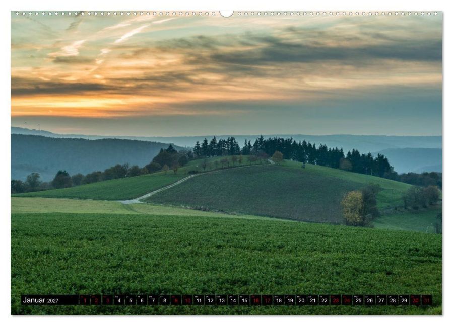 InsideView 6