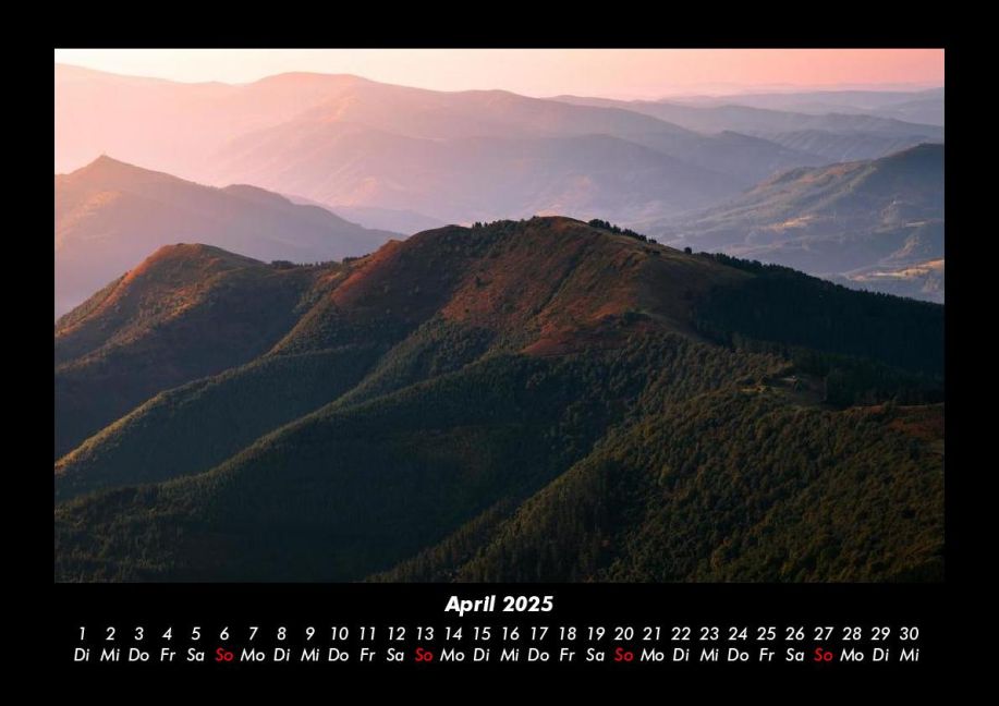InsideView 8