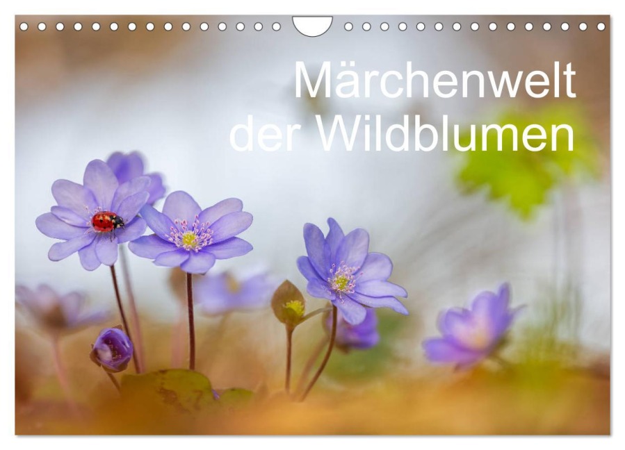 Märchenwelt der Wildblumen (Wandkalender 2026 DIN A4 quer), CALVENDO Monatskalender - Henrik Spranz