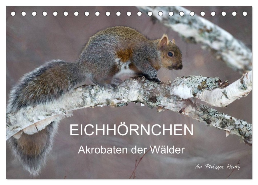 EICHHÖRNCHEN (Tischkalender 2026 DIN A5 quer), CALVENDO Monatskalender - Philippe Henry
