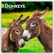 Cover-Bild zum Titel 'Donkeys - Esel 2026 - 16-Monatskalender' von 'Browntrout Publishers'