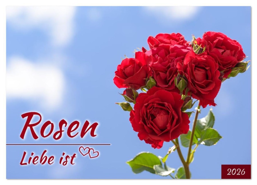 Rosen, Liebe ist (Wandkalender 2026 DIN A2 quer), CALVENDO Monatskalender - Rainer Plett