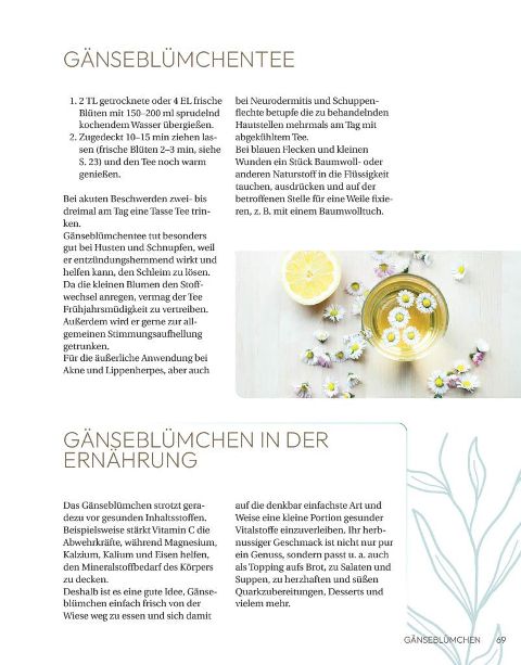 InsideView 10