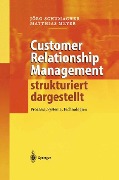 Customer Relationship Management strukturiert dargestellt - Matthias Meyer, Jörg Schumacher