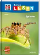 Cover-Bild zum Titel 'WAS IST WAS Erstes Lesen Band 24. Spinnen' von 'Christina Braun'