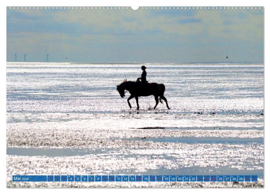 InsideView 10