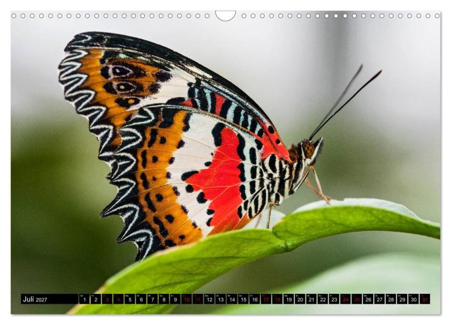 InsideView 12