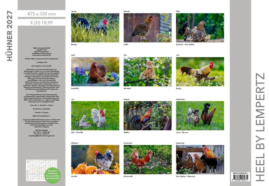 InsideView 13
