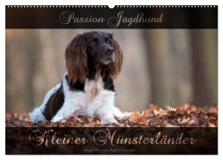 Passion Jagdhund - Kleiner Münsterländer (Wandkalender 2025 DIN A2 quer), CALVENDO Monatskalender - Nadine Gerlach