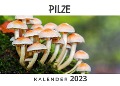 Cover-Bild zum Titel 'Pilze' von 'Tim Fröhlich'