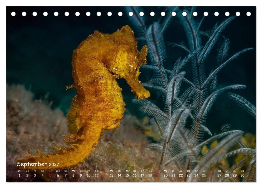 InsideView 14