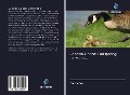 Cover-Bild zum Titel 'Canada Goose: Oorsprong' von 'Yanzhe Wu'