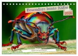 Cover-Bild zum Titel 'Besondere bunte Käfer (Tischkalender 2026 DIN A5 quer), CALVENDO Monatskalender' von 'Torsten Irmer'
