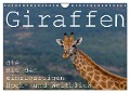 Giraffen - Tiere mit dem einzigartigen Hoch- und Weitblick (Wandkalender 2024 DIN A4 quer), CALVENDO Monatskalender - Rsiemer Rsiemer